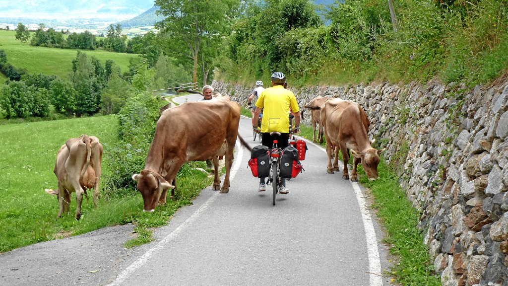 2011-07-31 17.09.38.jpg